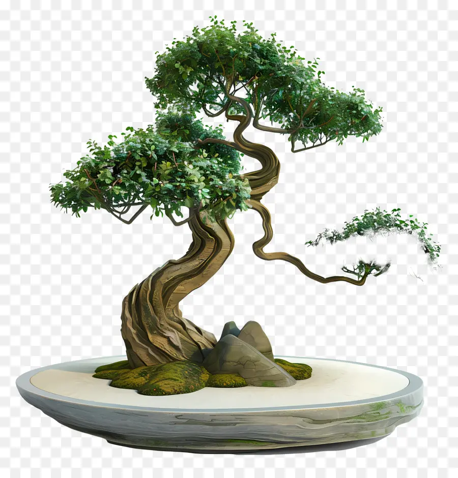 Pohon Bonsai，Pohon PNG