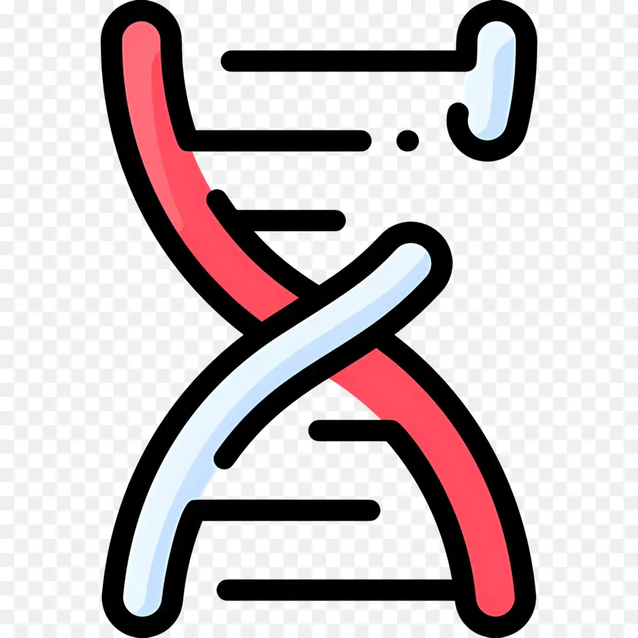 Mutasi Dna，Dna PNG