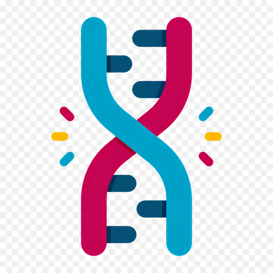 Mutasi Dna，Untai Dna PNG