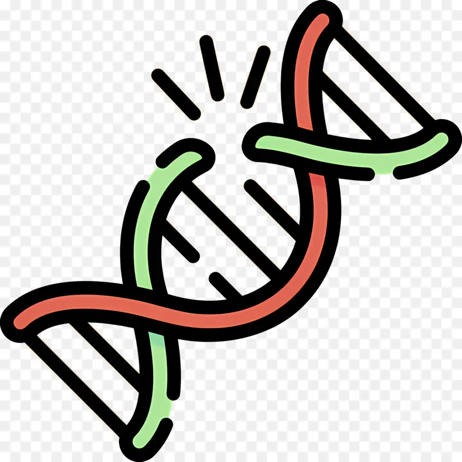 Mutasi Dna，Untaian Dna PNG