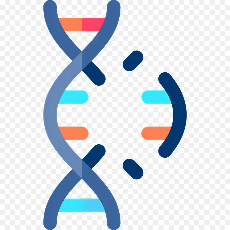 Mutasi Dna，Dna PNG