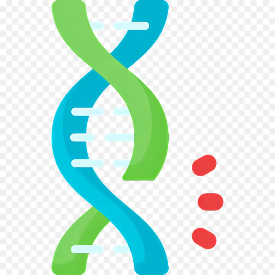 Mutasi Dna，Untai Dna PNG