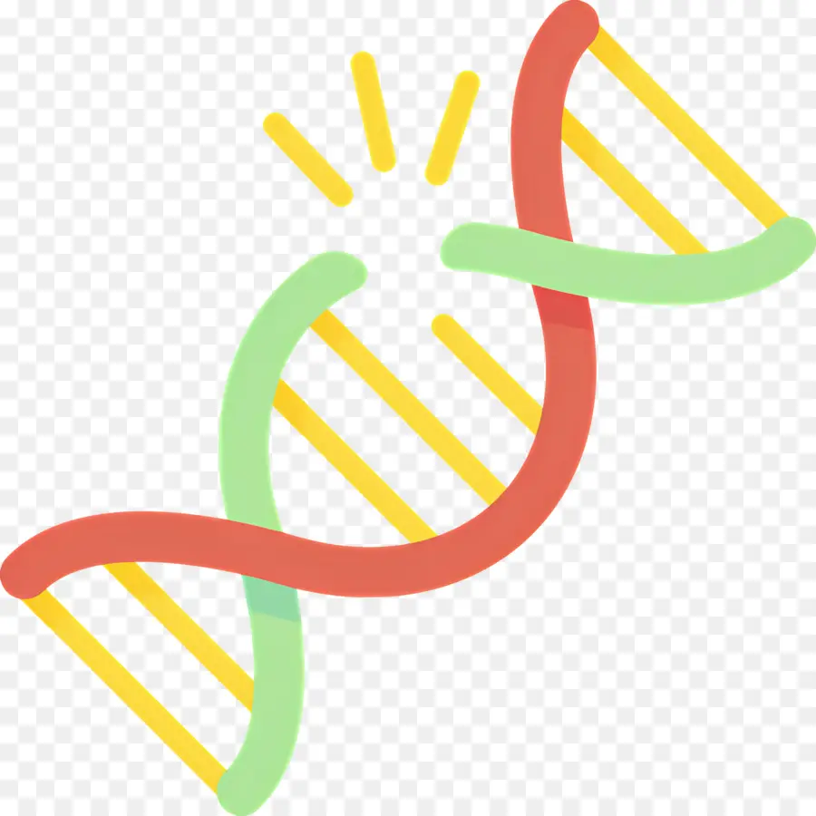 Mutasi Dna，Untaian Dna PNG