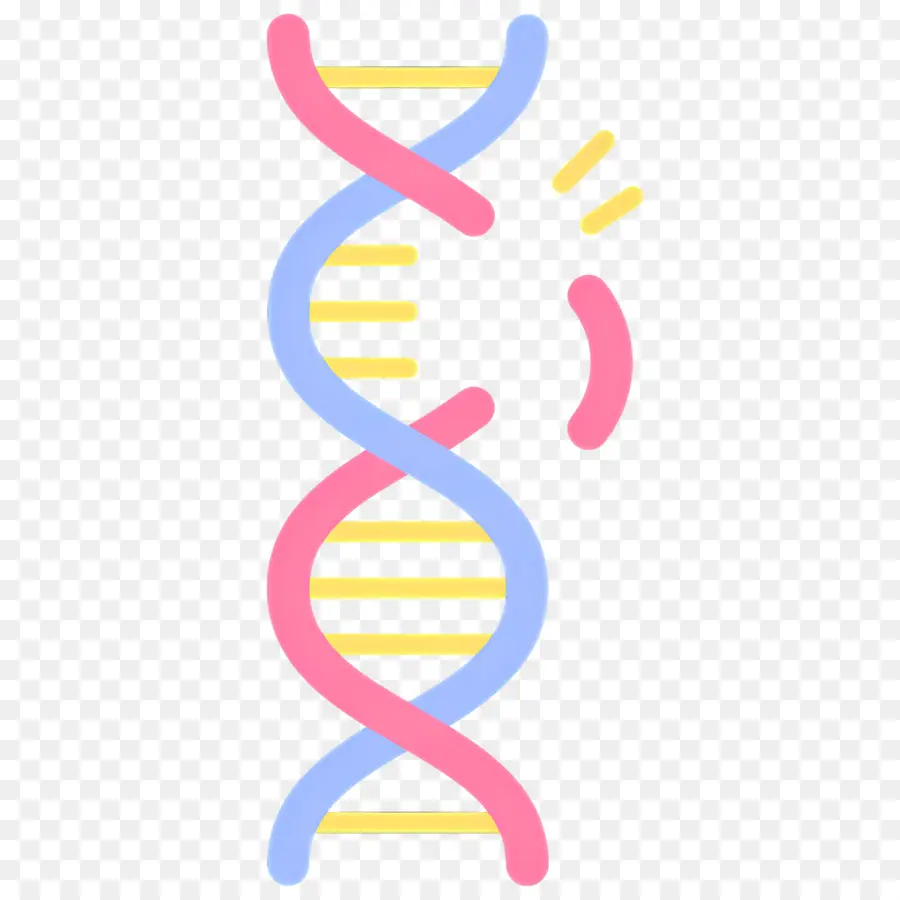 Mutasi Dna，Untai Dna PNG