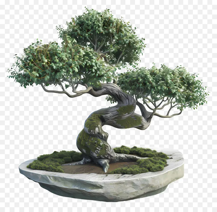 Pohon Bonsai，Pohon PNG