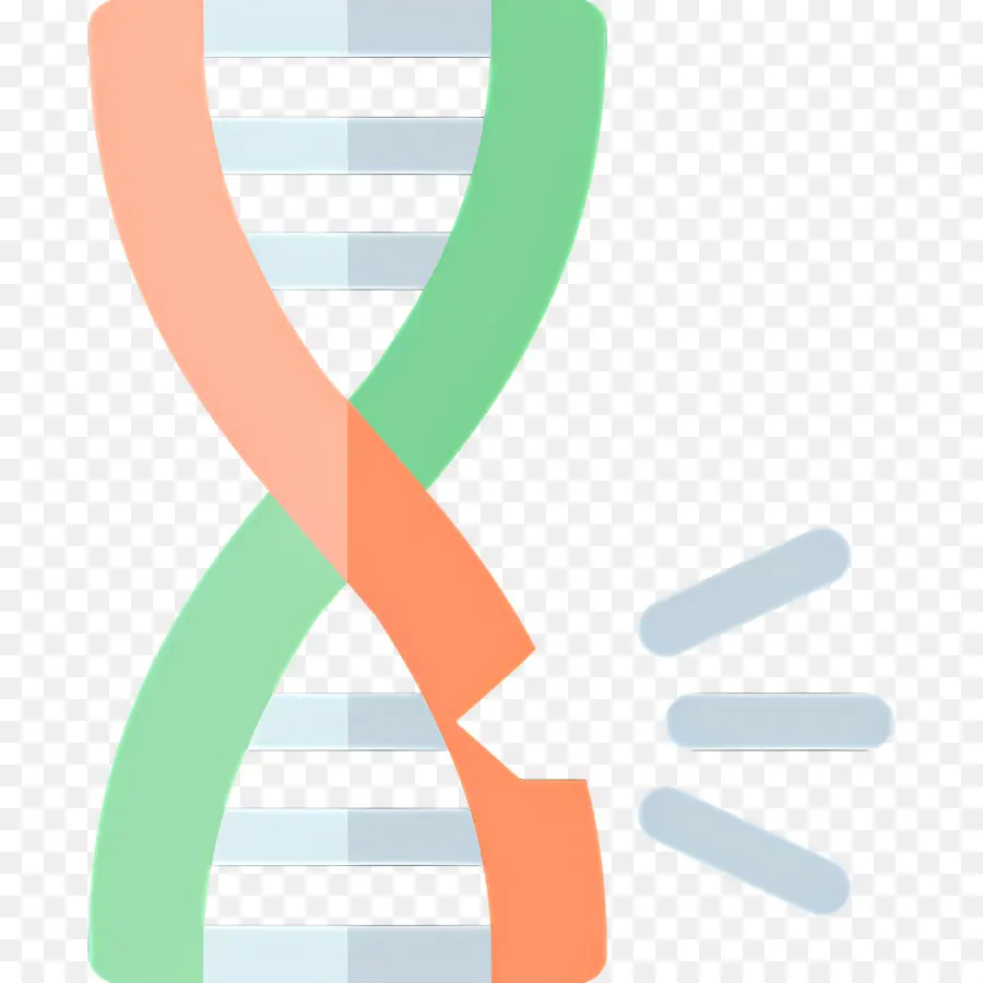 Mutasi Dna，Untai Dna PNG