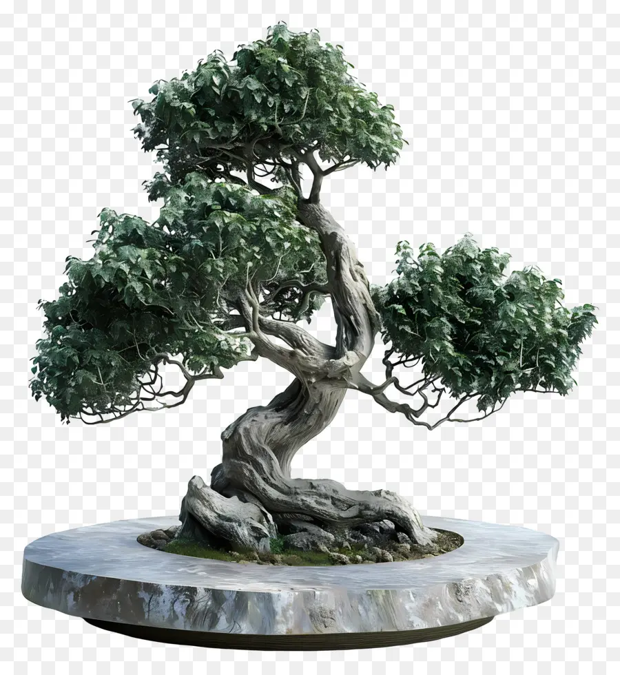 Pohon Bonsai，Miniatur PNG