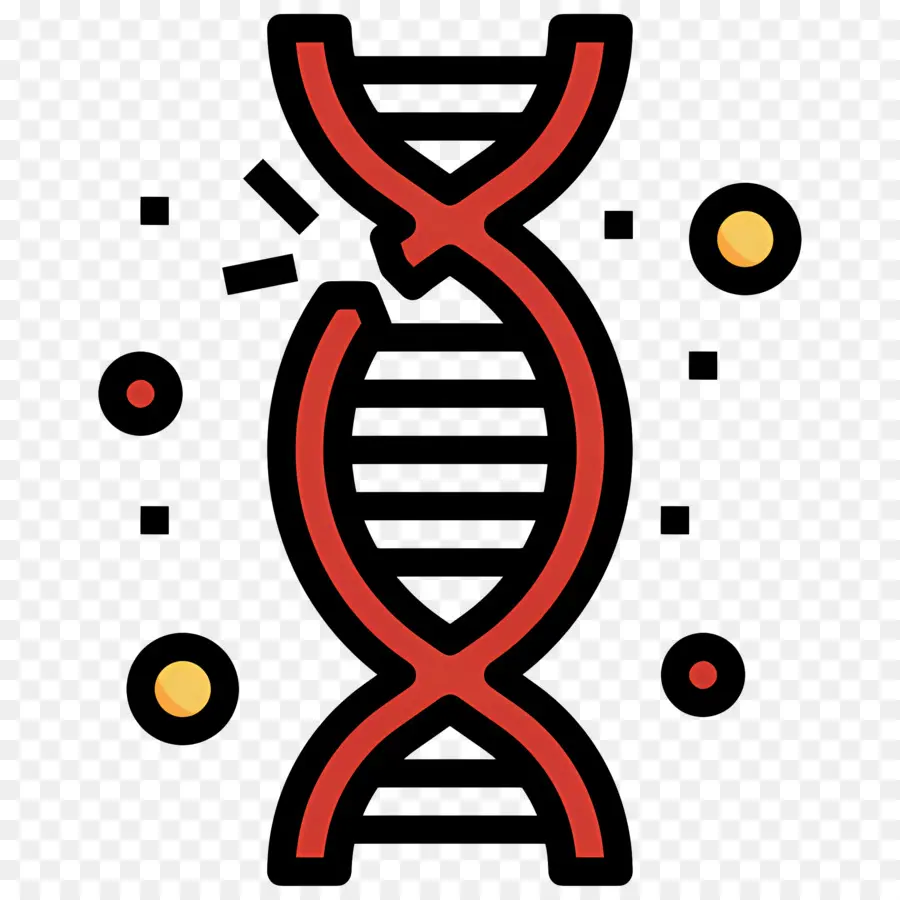 Mutasi Dna，Dna PNG