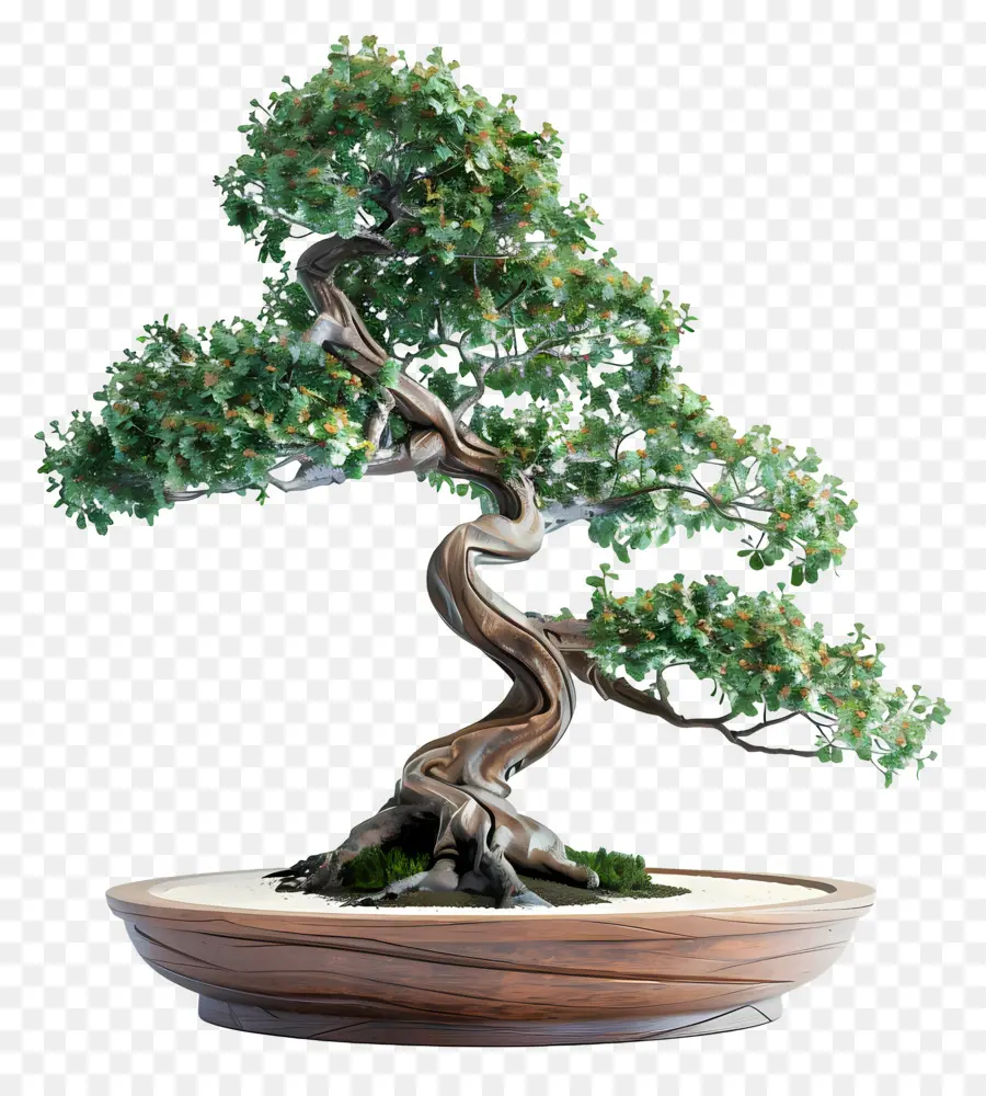 Pohon Bonsai，Bonsai PNG