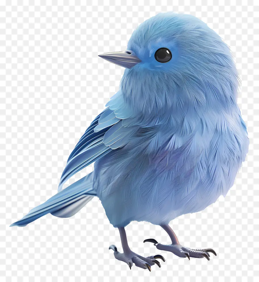 Blue Bird，Bulu PNG