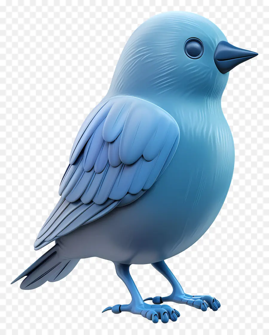 Blue Bird，Bulu PNG