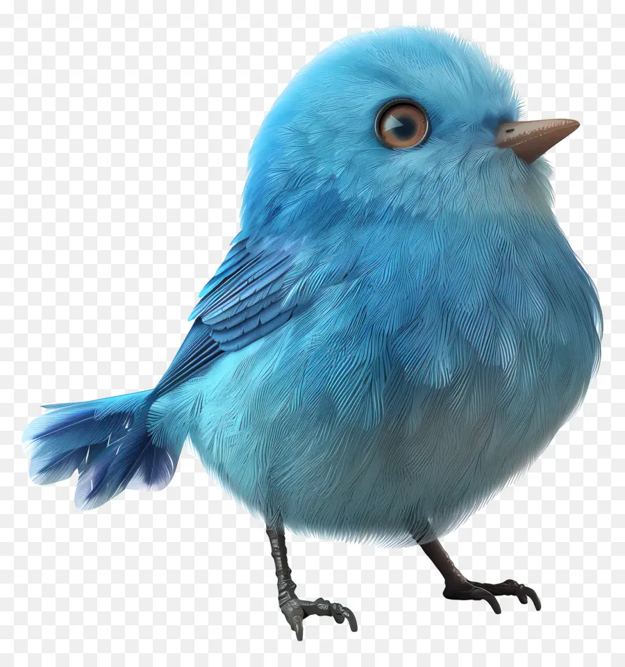 Blue Bird，Imut Imut PNG