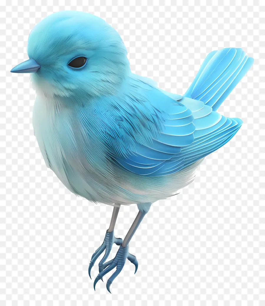 Blue Bird，Bulu PNG