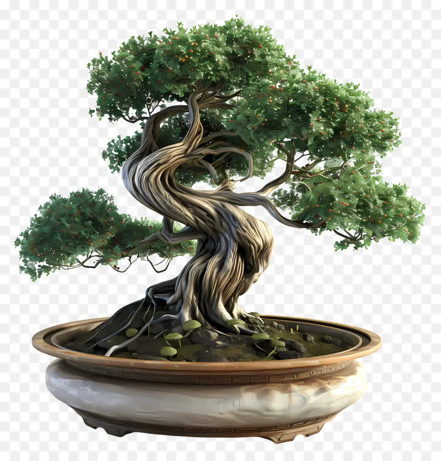 Pohon Bonsai，Pohon PNG