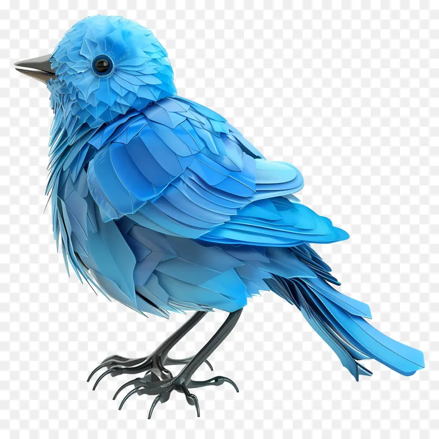 Blue Bird，Bulu PNG