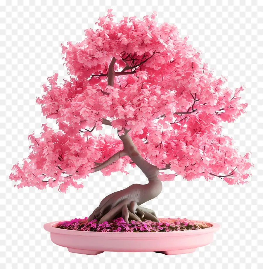 Pohon Bonsai Merah Muda，Bonsai PNG