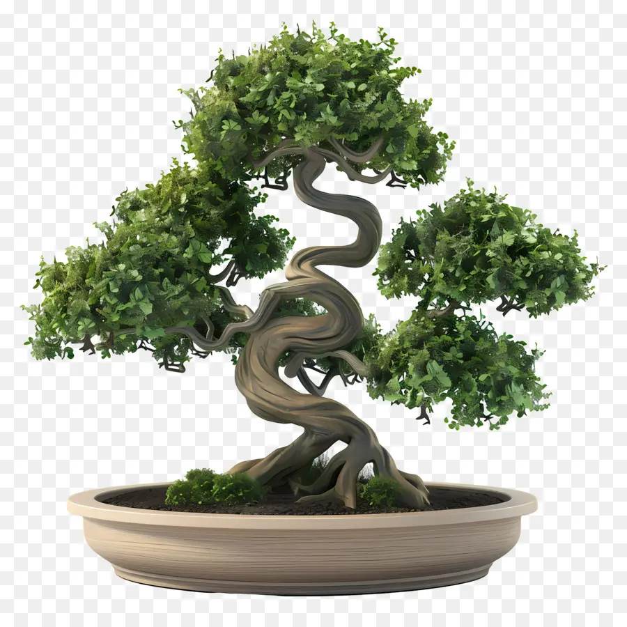 Pohon Bonsai，Bonsai PNG