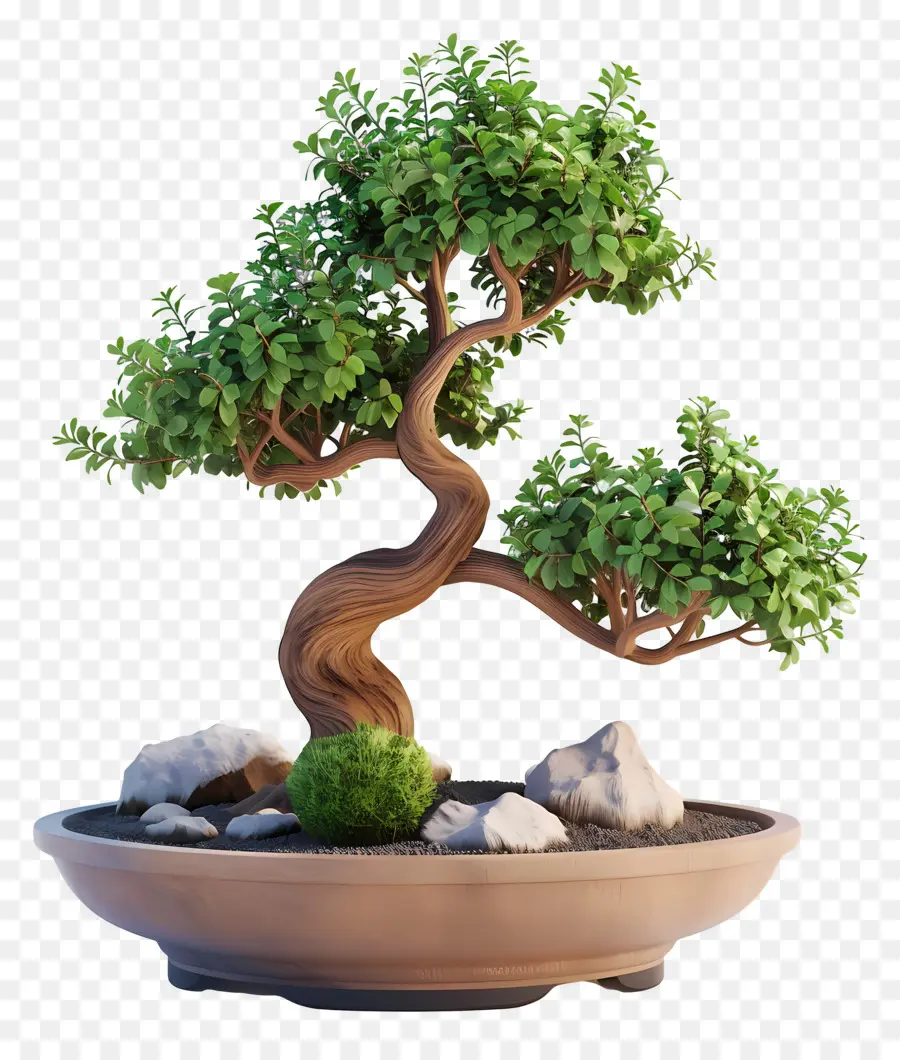 Pohon Bonsai，Miniatur PNG