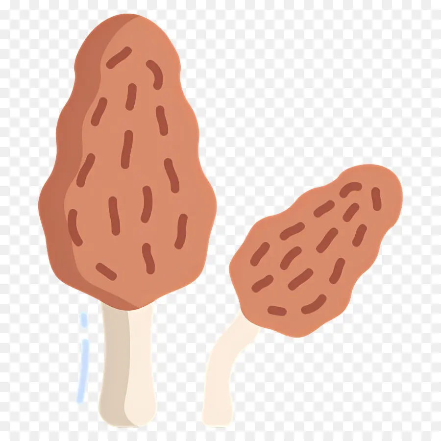 Jamur，Jamur Morel PNG