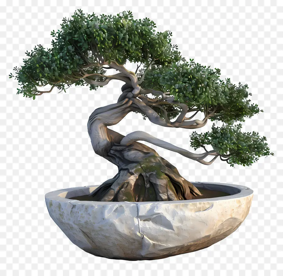 Pohon Bonsai，Pohon PNG