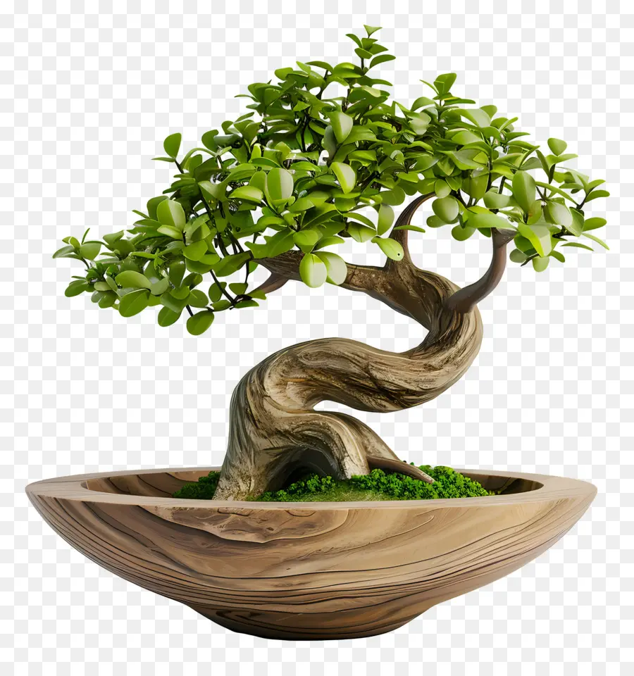 Pohon Bonsai，Miniatur PNG