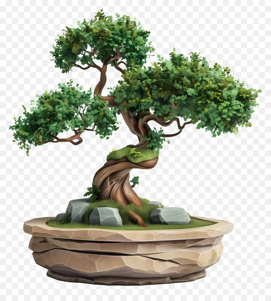 Pohon Bonsai，Pohon PNG