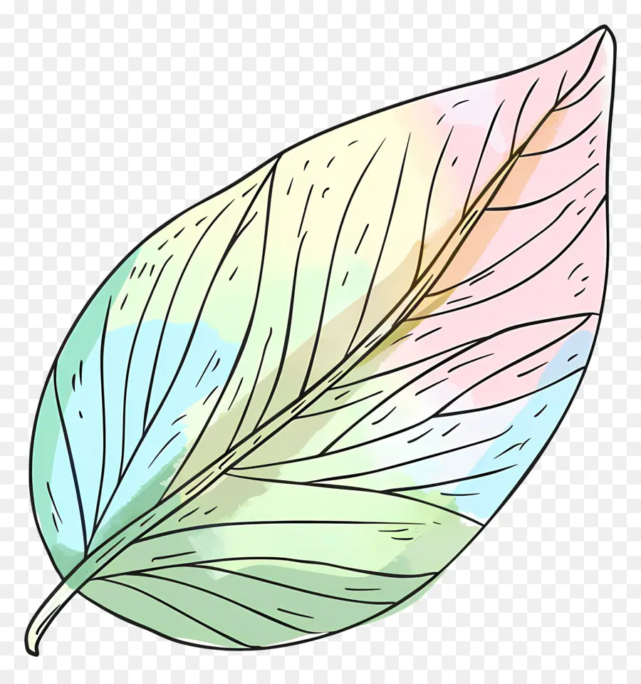 Daun Pastel，Daun PNG