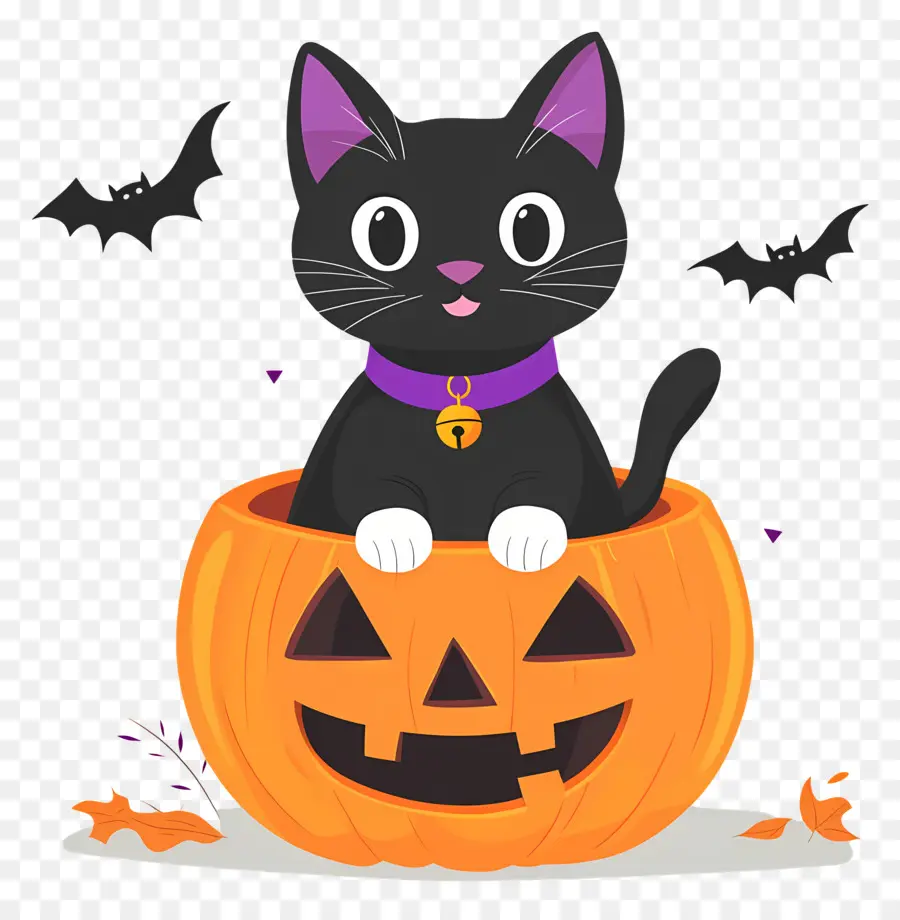 Kucing Hitam Halloween，Kucing Di Labu PNG