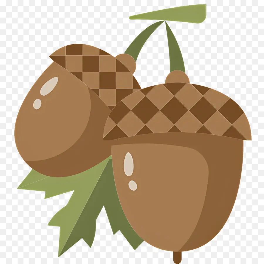 Biji Ek，Kacang PNG