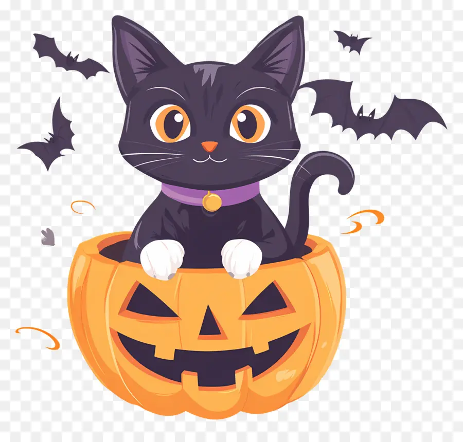 Kucing Hitam Halloween，Kucing Di Labu PNG