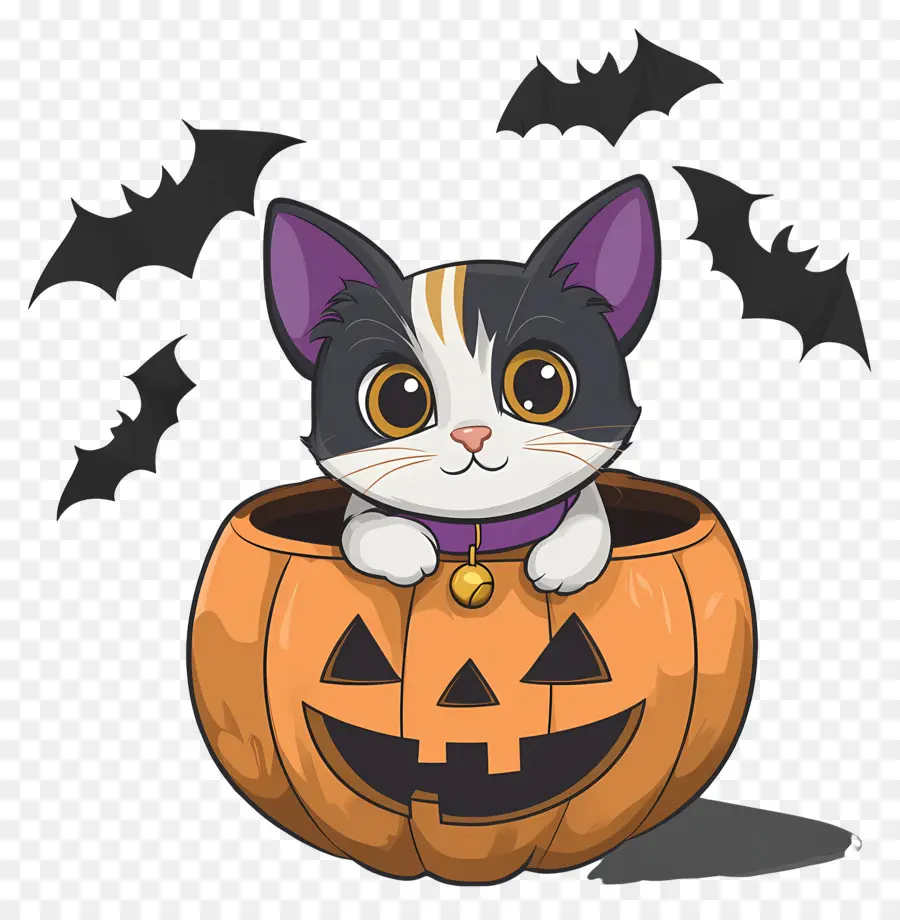 Kucing Halloween，Kucing Di Labu PNG