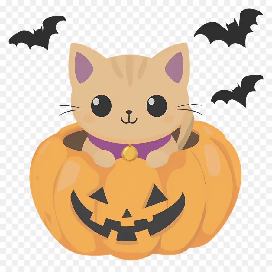 Kucing Halloween，Kucing Di Labu PNG