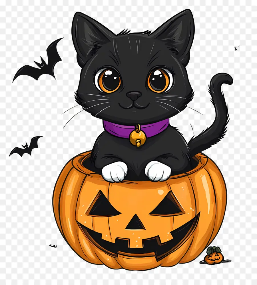 Kucing Hitam Halloween，Kucing Di Labu PNG