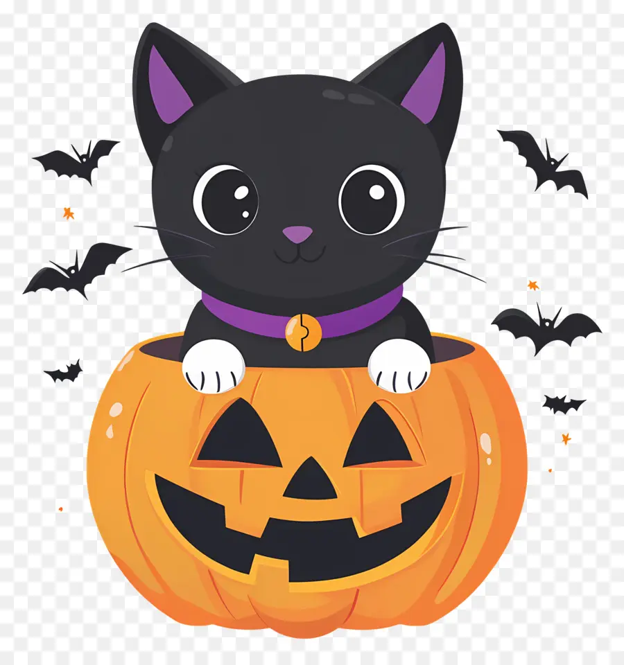 Kucing Hitam Halloween，Kucing Di Labu PNG