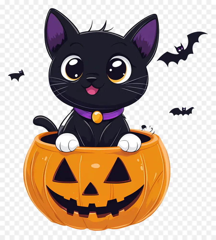 Kucing Hitam Halloween，Kucing Di Labu PNG