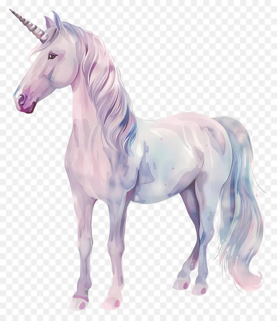 Unicorn Pastel，Unicorn PNG