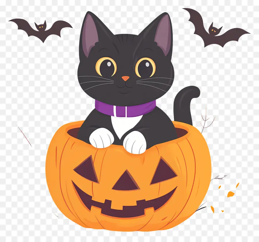 Kucing Hitam Halloween，Kucing Di Labu PNG