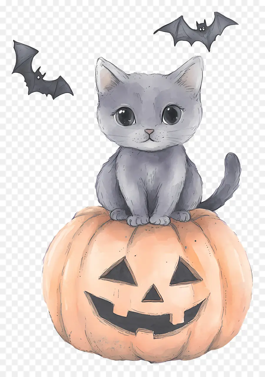 Kucing Halloween，Kucing Di Labu PNG