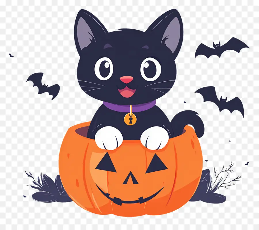 Kucing Hitam Halloween，Kucing Di Labu PNG