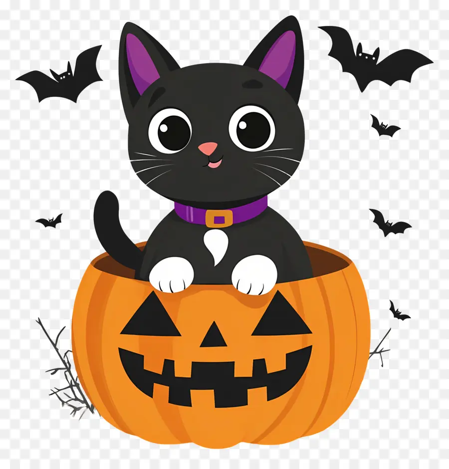 Kucing Hitam Halloween，Kucing Di Labu PNG