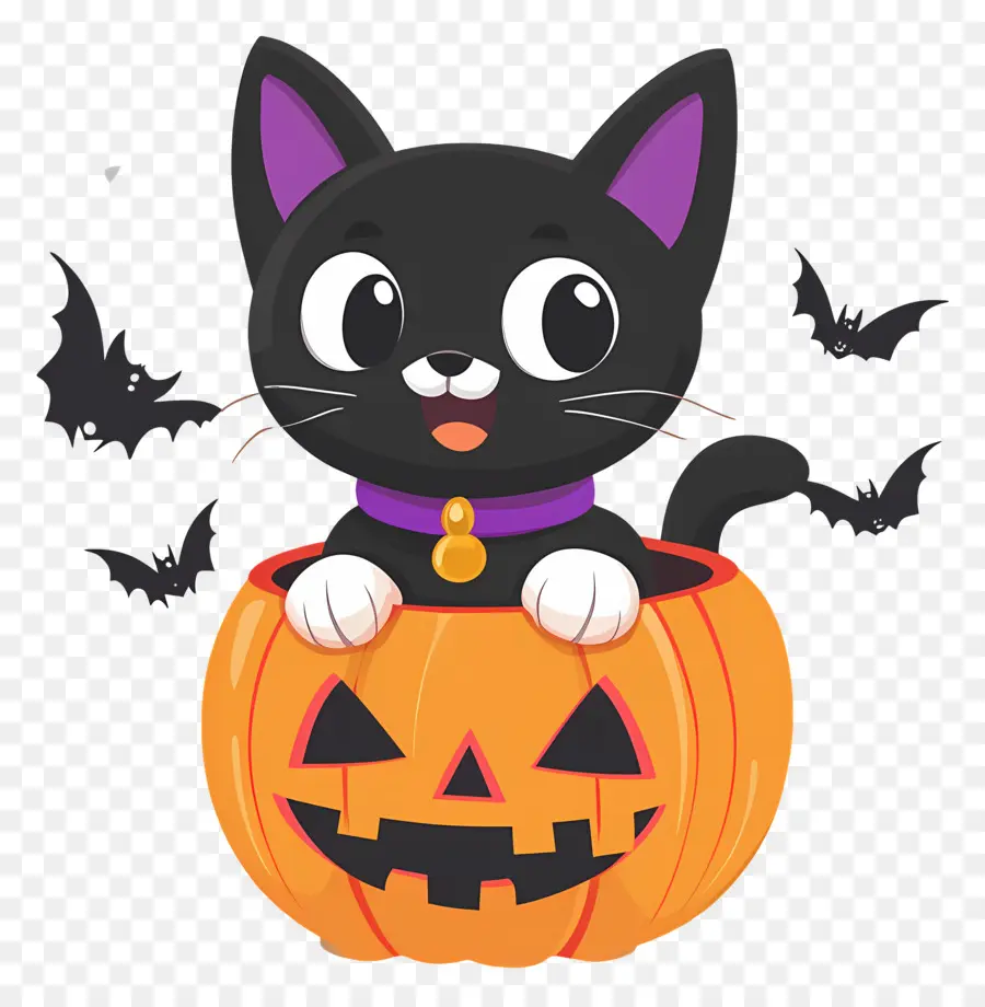 Kucing Hitam Halloween，Kucing Di Labu PNG