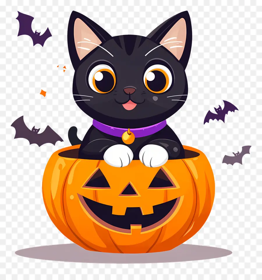 Kucing Hitam Halloween，Kucing Di Labu PNG