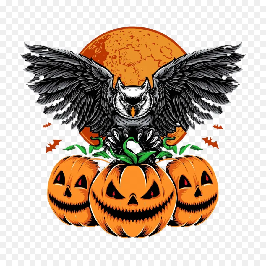 Burung Hantu Halloween，Burung Hantu Dan Labu PNG