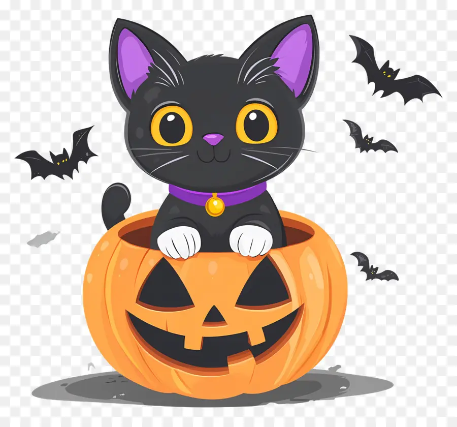 Kucing Hitam Halloween，Kucing Di Labu PNG