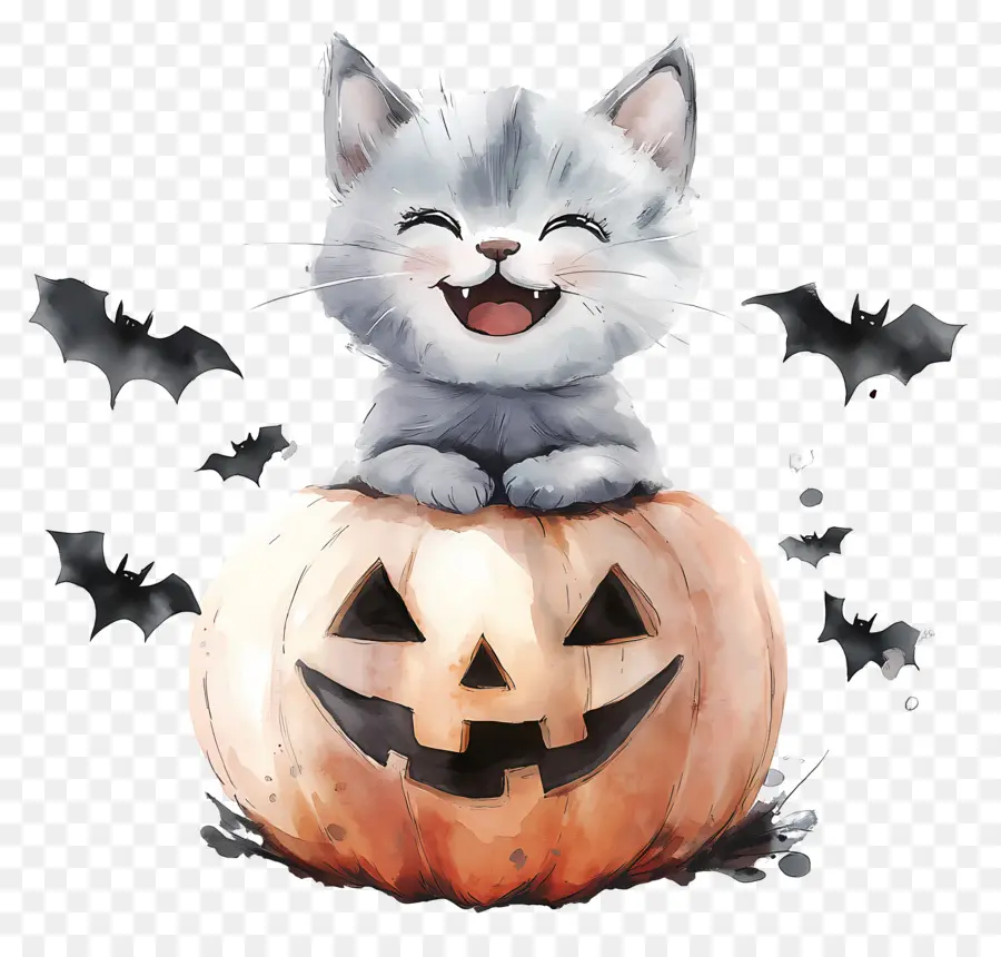 Kucing Halloween，Kucing Di Labu PNG