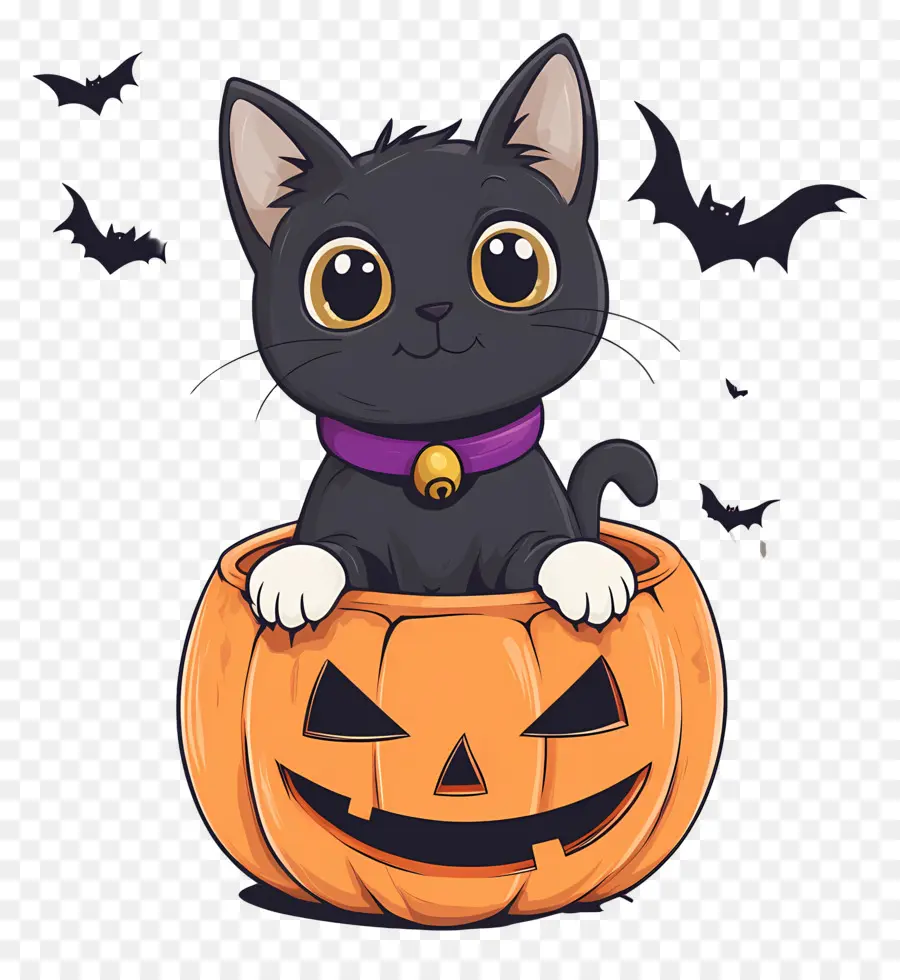 Kucing Hitam Halloween，Kucing Di Labu PNG