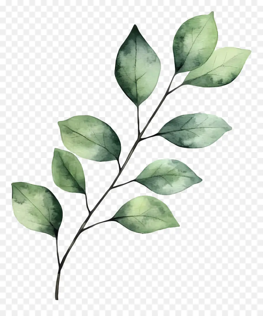 Lukisan Daun，Daun Hijau PNG