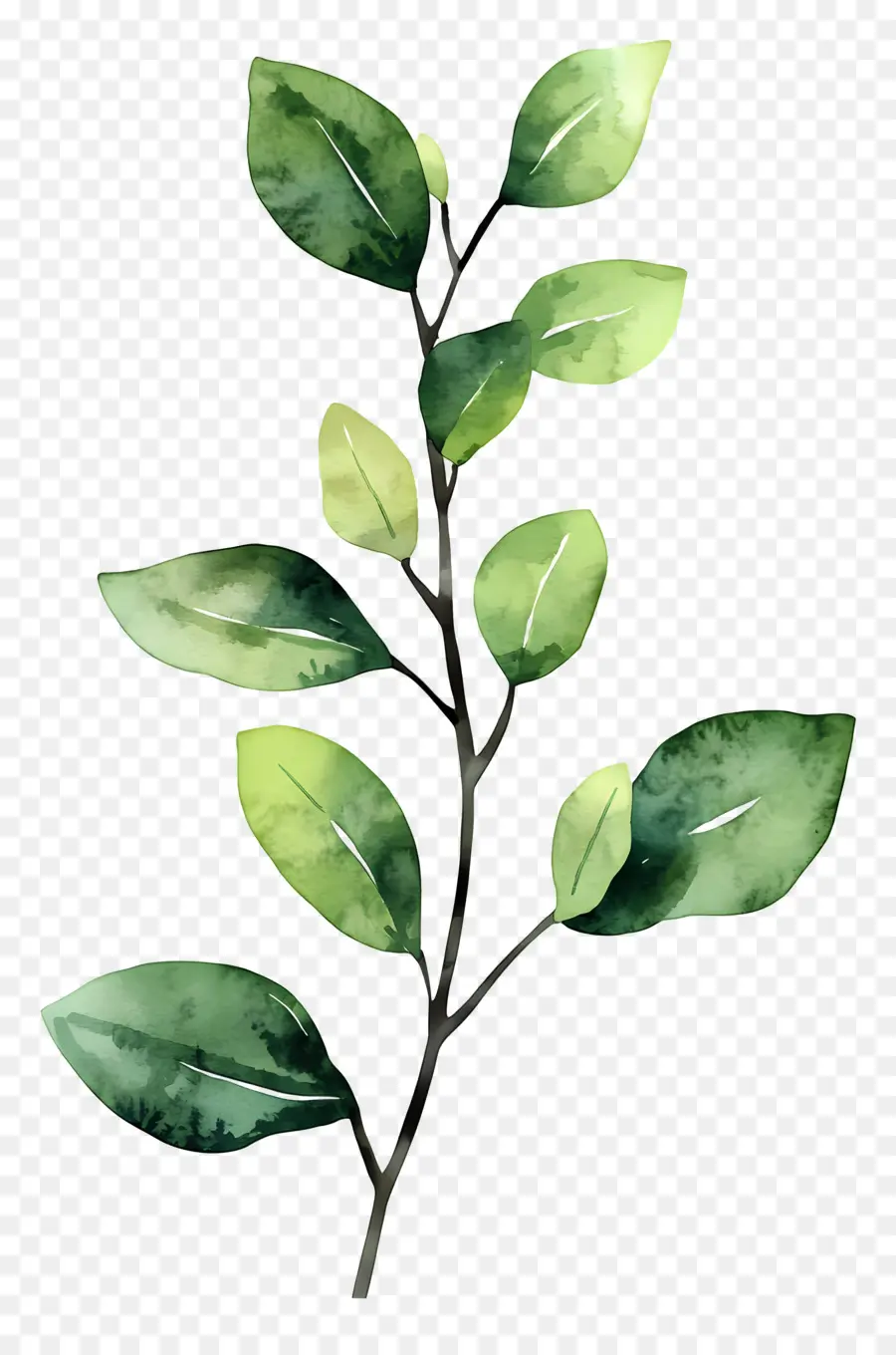 Lukisan Daun，Daun Hijau PNG