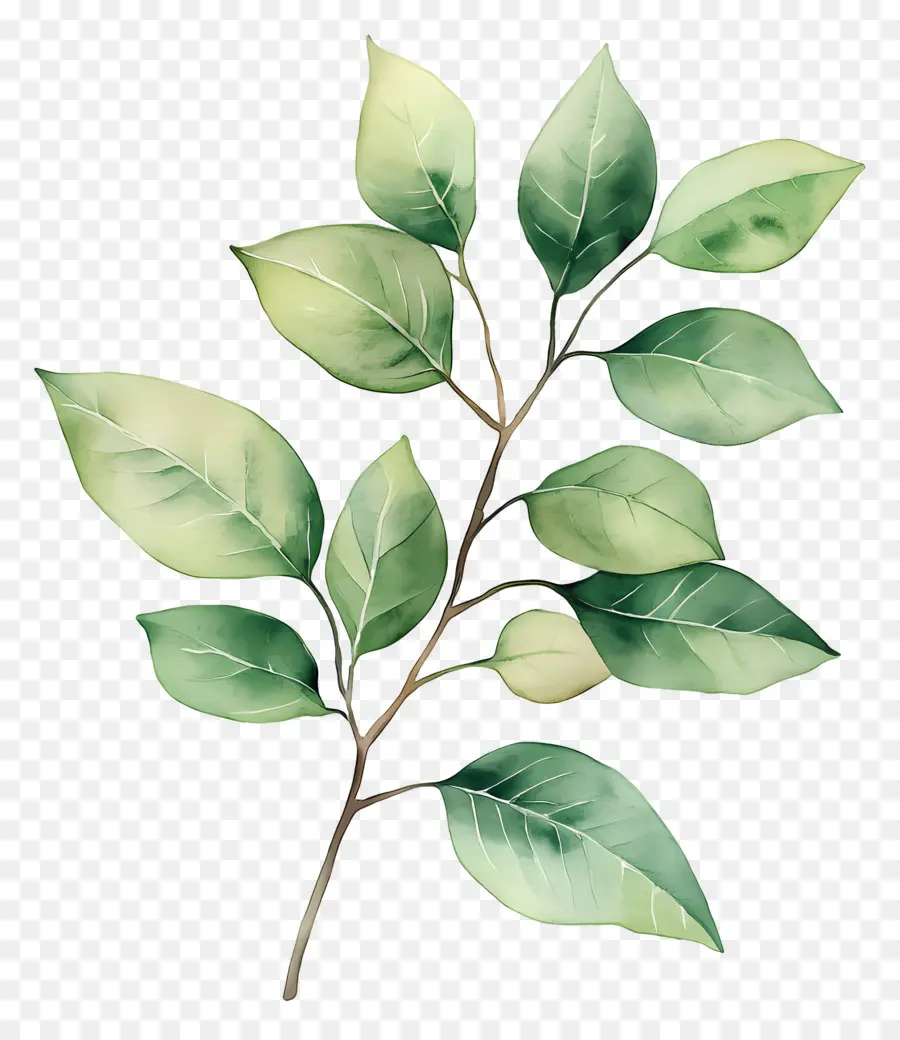 Lukisan Daun，Daun Hijau PNG