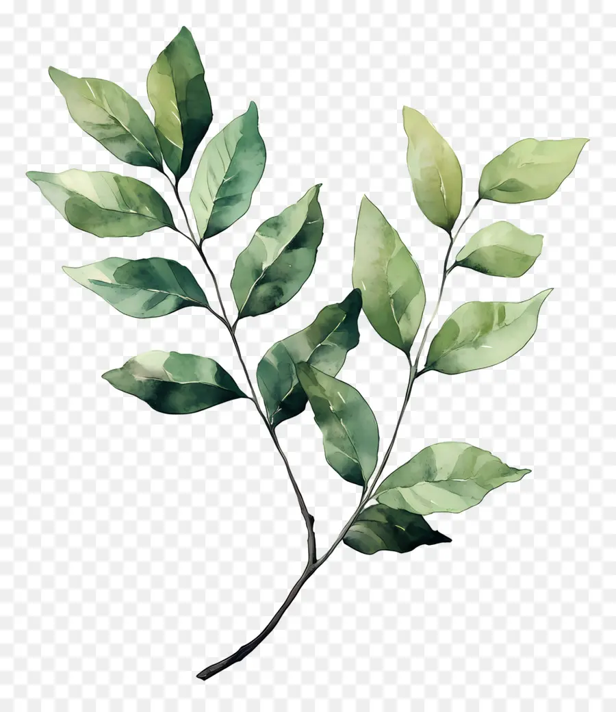 Lukisan Daun，Daun Hijau PNG